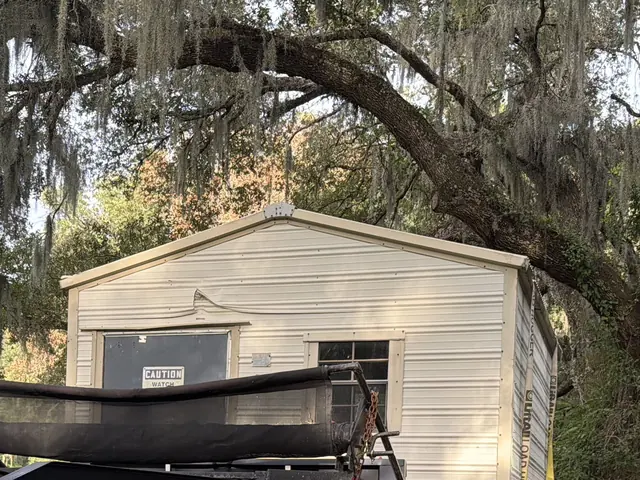 Shed under the oaks